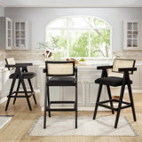 Chic Resin Webbing Back Bar Stool Set, Enhancing Your Bar Ambiance