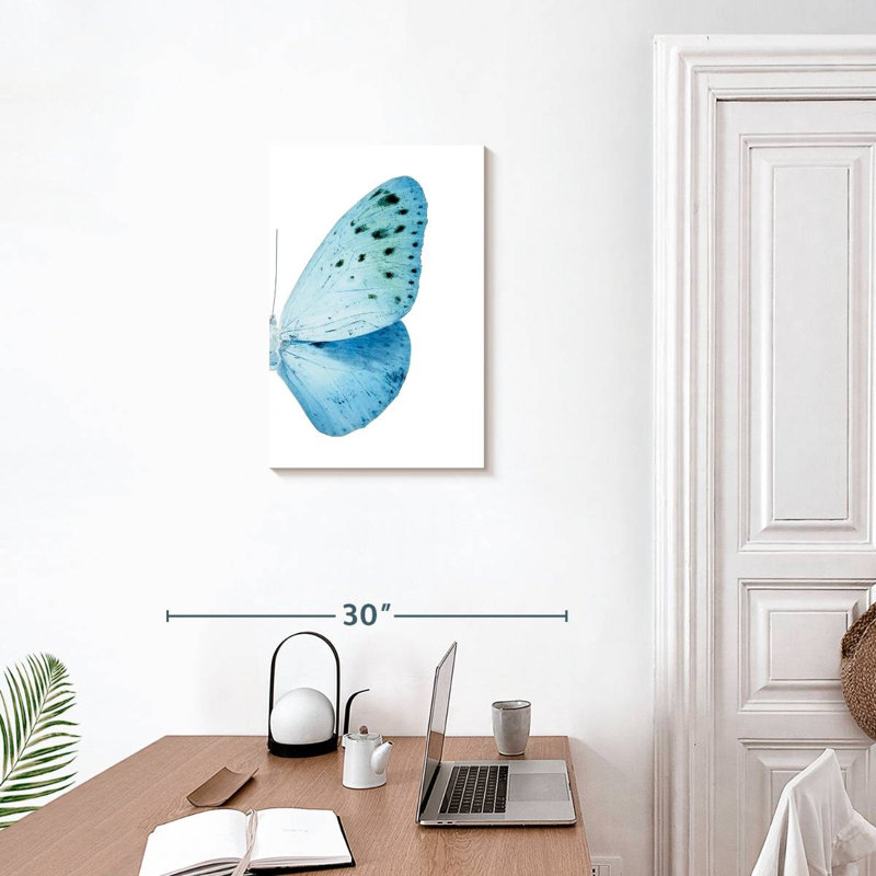 Radiographie de la demoiselle à papillon Brampl Euploea, H 24 po x l 16 po