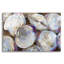  «Clambake Cluster» par Jeanette Vertentes, art mural en verre acrylique-1433321928