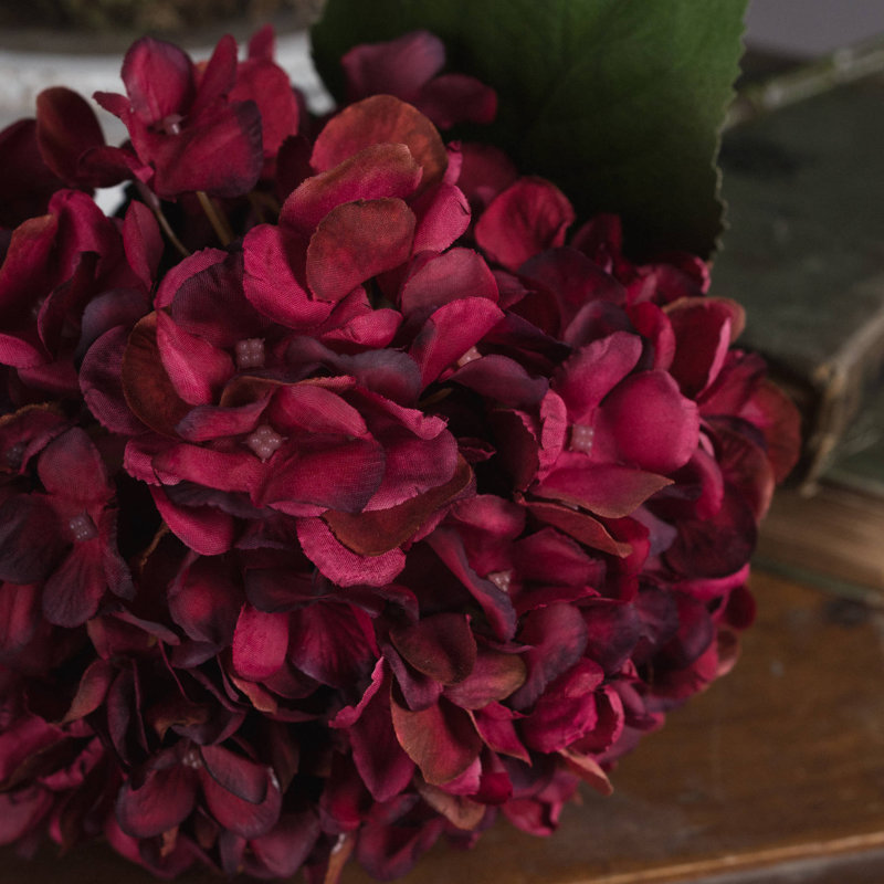 Anastasija Arrangement, Ruby