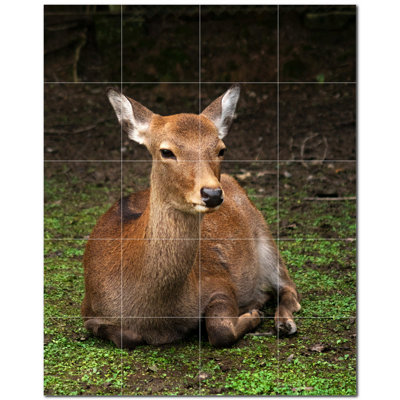 Deer Photo 12'' x 12'' Satin Ceramic Decorative Mural -  Picture-Tiles.com, PT500469-45XL