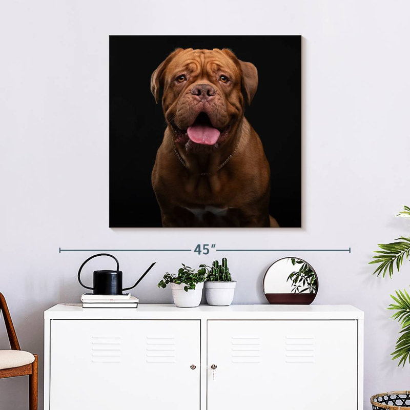 Crowle Bordeaux Mastiff Dog, 30" H x 30" W
