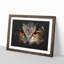 Great Horned Owl - Framed Print-56863010-56863015