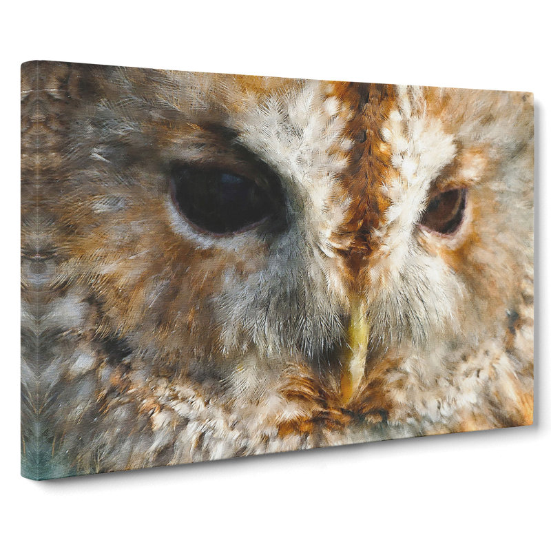 Tawny Owl Vol.2 Painting - Wrapped Canvas, 35cm H x 76cm W x 3cm D