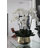 Roberi Arrangement in Pot-318745110-311770224