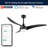 Coleigh 52'' Ceiling Fan with LED Lights-2010980606