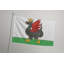 Drapeau de la ville de Kazan - drapeau extérieur-1270673937