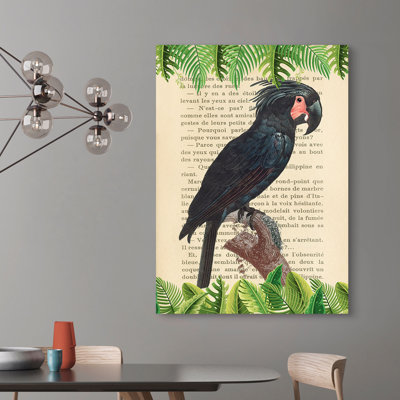 The Palm Cockatoo, After Levaillant 1 Piece Wrapped Canvas Wall Art