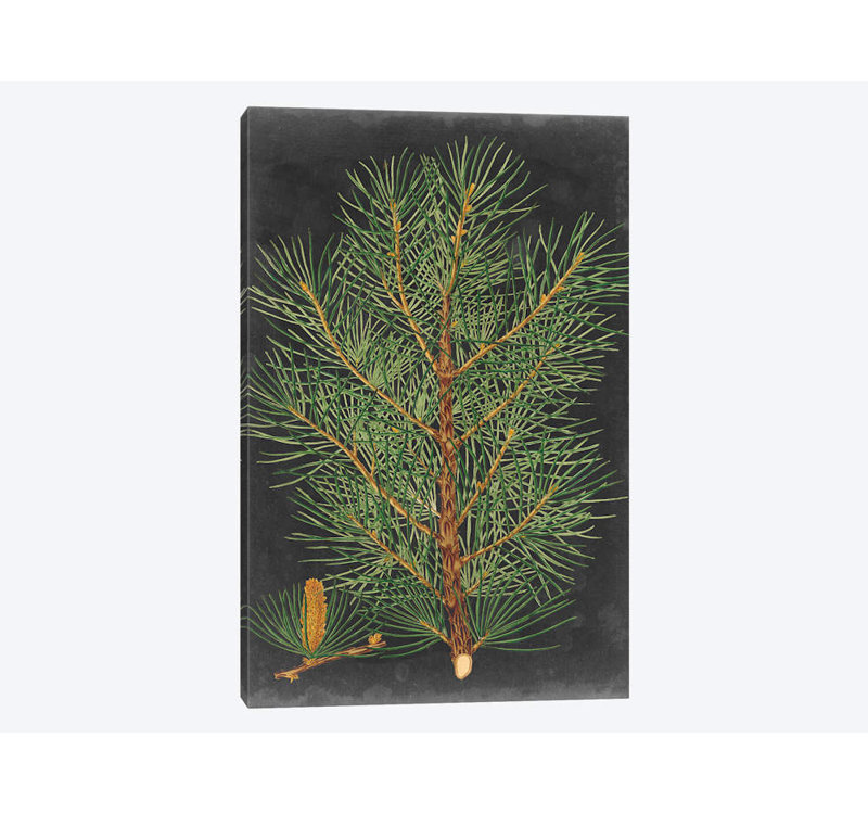 «Dramatic Pine II», impression sur toile, H 40 po x l 26 po x P 1,5 po, Toile tendue, Pas de tapis