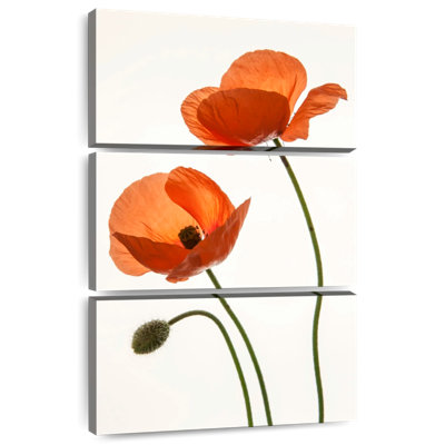Harnek Orange Poppy Flowers