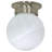 Ithomitis Glass Flush Mount-25309885