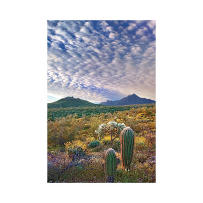 Saguaro and Teddybear Cholla, Arizona Amid Flowering Lupine and California Brittlebush II 1 Piece Wrapped Canvas Wall Art
