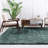 Indoor Rug-560099139
