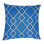 Branson Embroidery Pillow