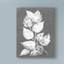 « frosty philodendron ii », reproduction sur toile tendue-33516248