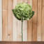 Roper Silk Hydrangea Arrangement