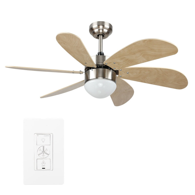 Ventilateur de plafond intelligent Metanoia de 38 pouces avec ensemble d'éclairage et commande murale, fonctionne avec l'assistant Google, Amazon Alexa et les raccourcis Siri.