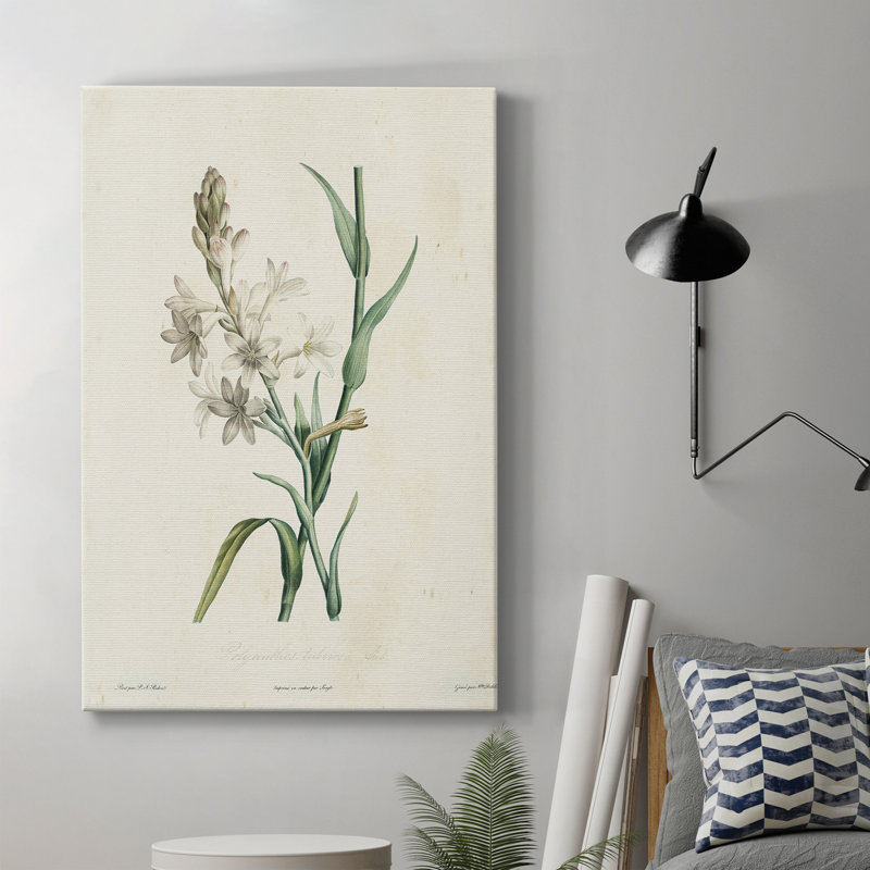 «Traditional Botanical IV», impression sur toile tendue, H 36 po x l 24 po x P 1 po