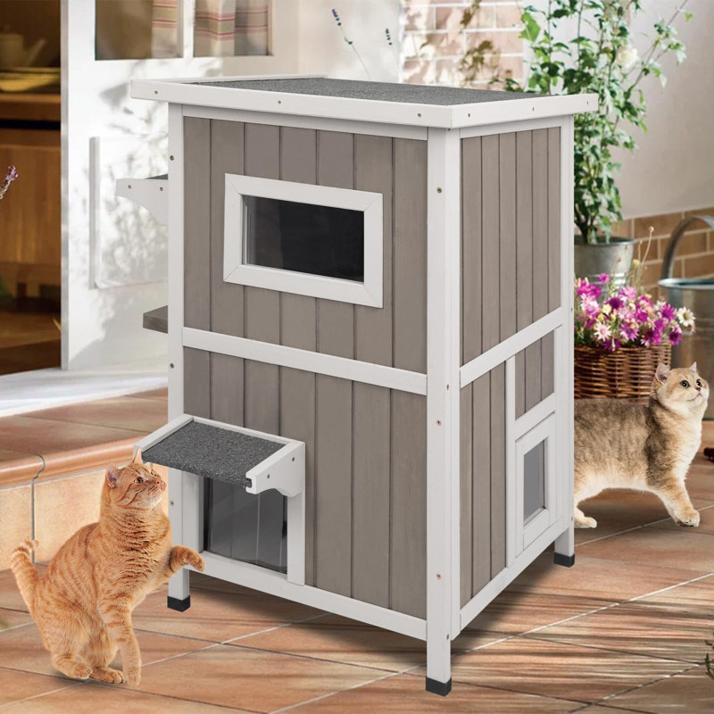 Cat House