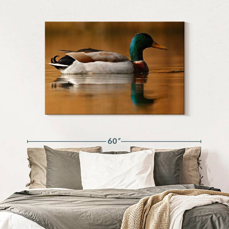 Brampt Bathing Mallard Duck, 32" H x 48" W