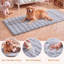 Rectangle Washable Area Rug-1753476199-1753476203