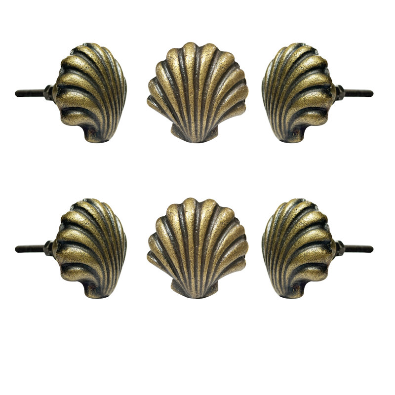 1.75" Width Beach Shell Knob