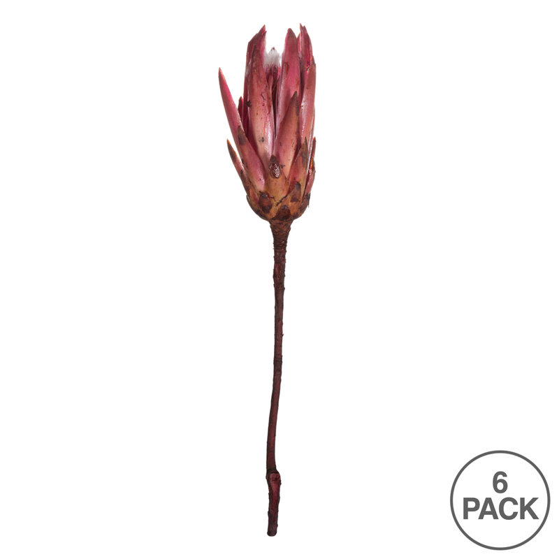 Vickerman 14" Repens on a Natural Stem. Includes 6 Stems per Bunch, Dried, Erika Pink