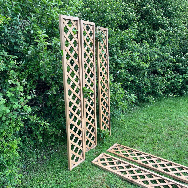 Verna 180cm H x 30cm W Wood Lattice Panel Trellis