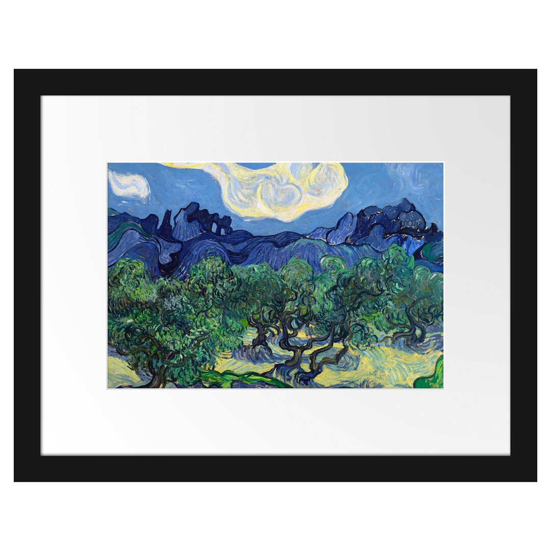 Gerahmter Kunstdruck The Olive Trees von Vincent Van Gogh