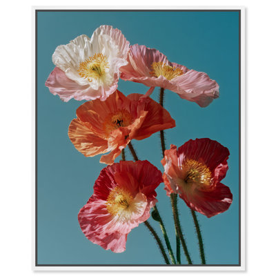 Poppy Bloom I Floral & Botanical Canvas Print by Oliver Gal, Black Frame, 16 x 20