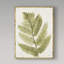 « forest ferns i antique », reproduction de peinture à l’acrylique sur toile tendue-33417651