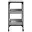 Northome Metal Bar Cart-1041345474