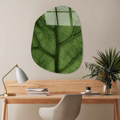 Boze Wall Decor
