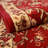 Zayandeh Oriental Area Rug in Rust-69593088