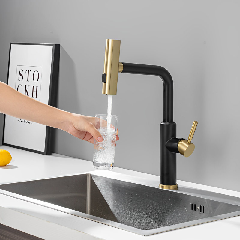 Robinet de cuisine Scorpa
