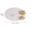 White Dimmable Star LED Flush Ceiling Light With Remote