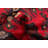 Rizbaft Red Rug 3'7" x 6'7"