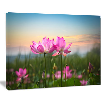 «Blooming Lotus Flowers at Sunset», impression sur toile tendue