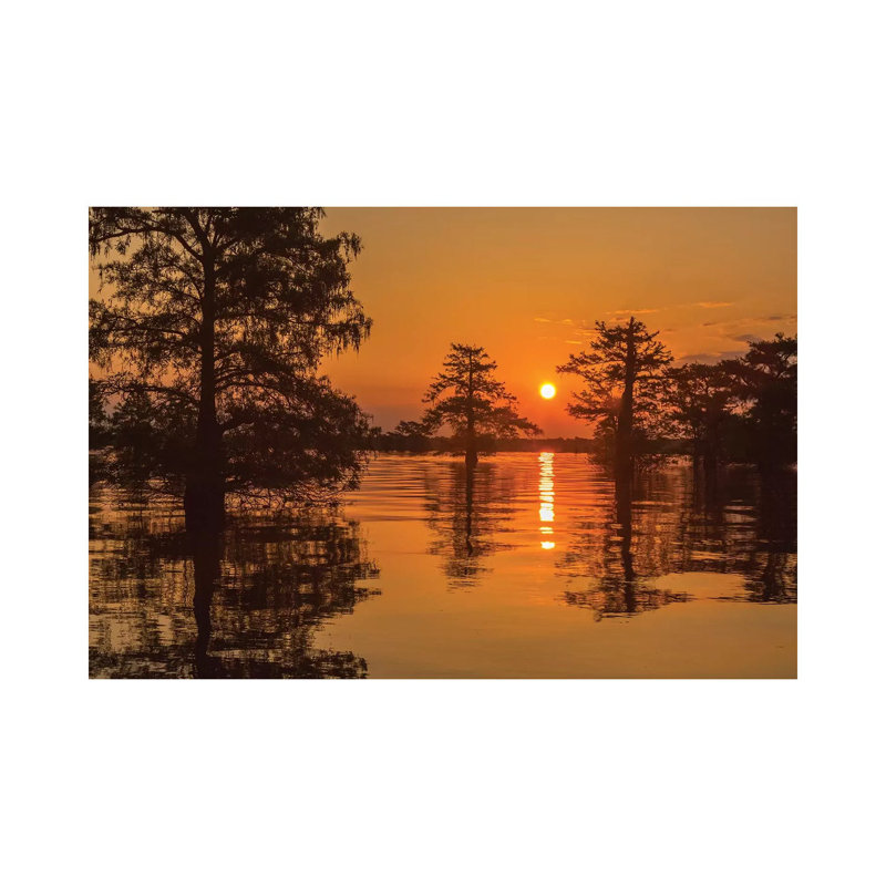 Sunrise On Swamp by Jaynes Gallery - Wrapped Canvas Print, 20.32cm H x 30.48cm W x 1.905cm D