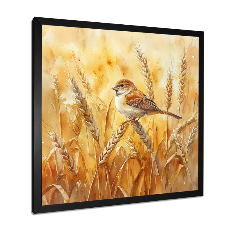 Moineau domestique dans un champ II - oiseau, art mural, Reproduction encadrée d'une seule photo, Noir, H 16 po x l 16 po