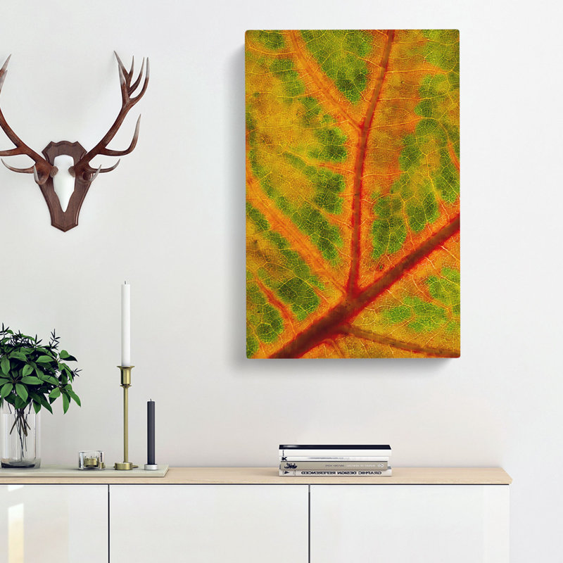 Map Of A Leaf - Wrapped Canvas, 91cm H x 60cm W x 3cm D