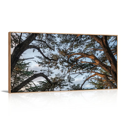 Ensemble de 1 tableau sur toile représentant un arbre et le ciel