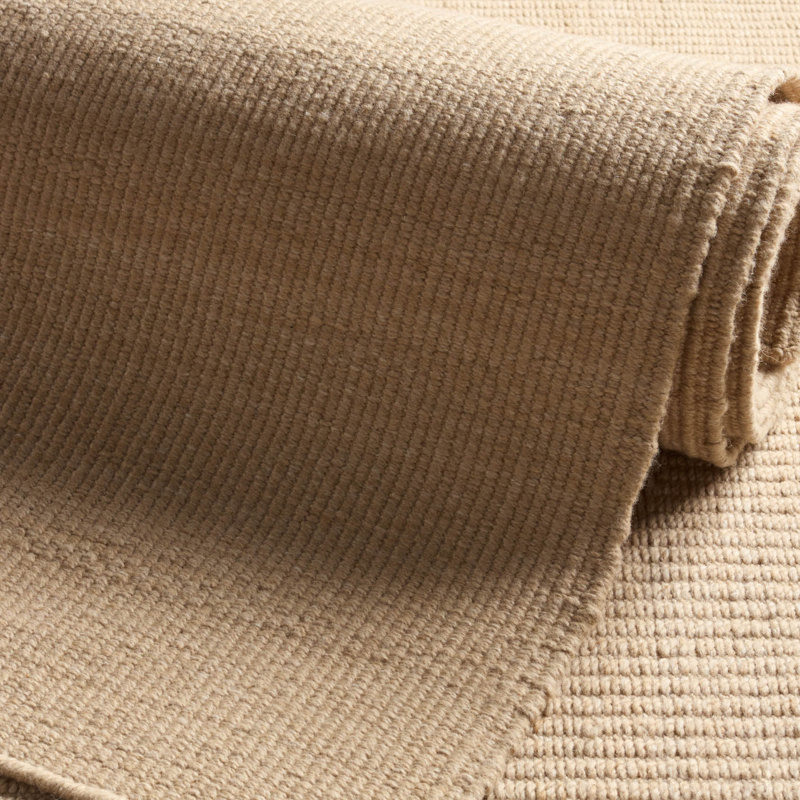 Delcid Indoor / Outdoor Rug, Rectangle 4' x 6'
