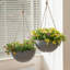 Boxdale Hanging Planter - Set of 2-650146792-650146796