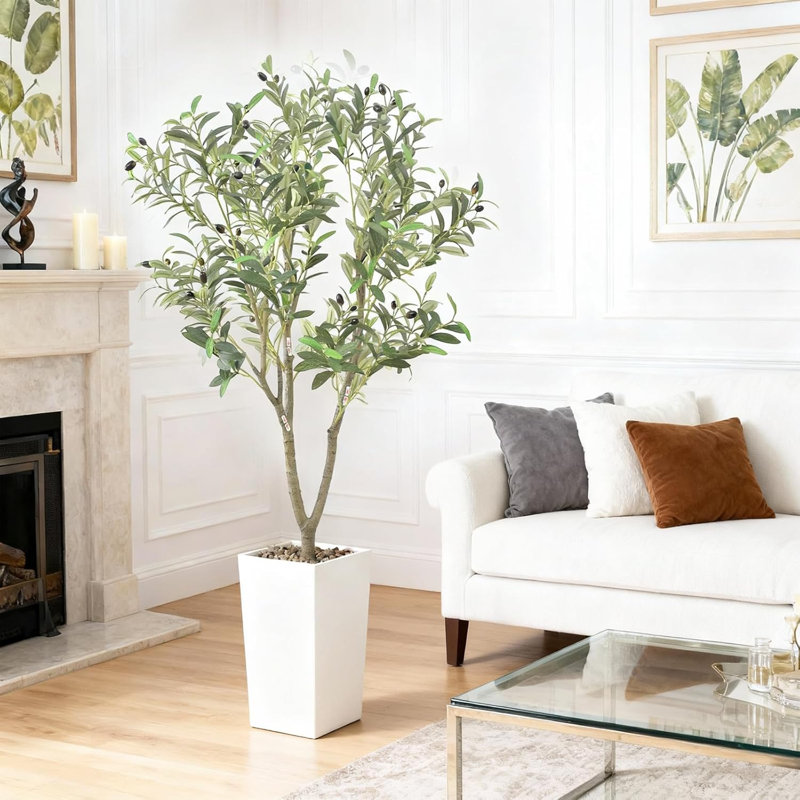 150cm Plant