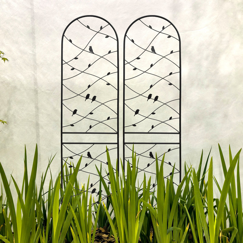 86.7"X19.7" Rustproof Metal Trellis, For Pea Vines, Outdoor Garden Support Screen, Black 2 Pack Jasmine Flowers, Holder,