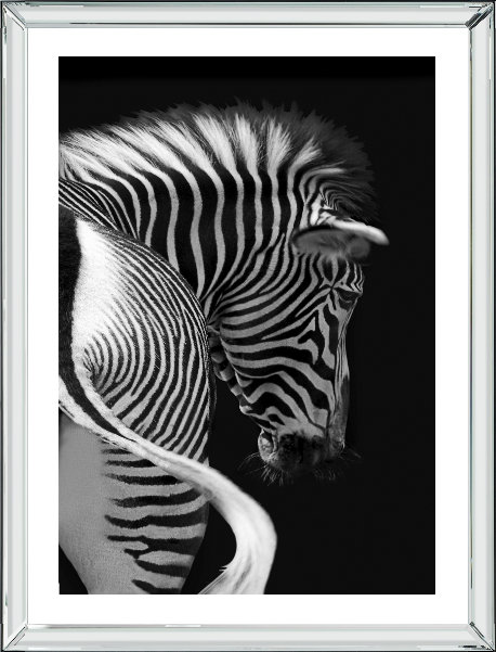 Zebra - Print on Wood