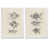 White Framed Canvas Set is unavailable