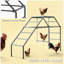 Chicken Activity Shelf,Chicken Coop Perches
