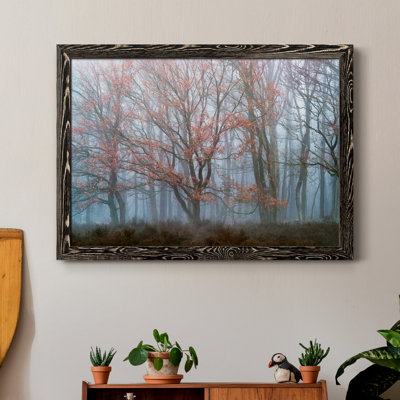 " Misty Contrasts " Color Photography Print